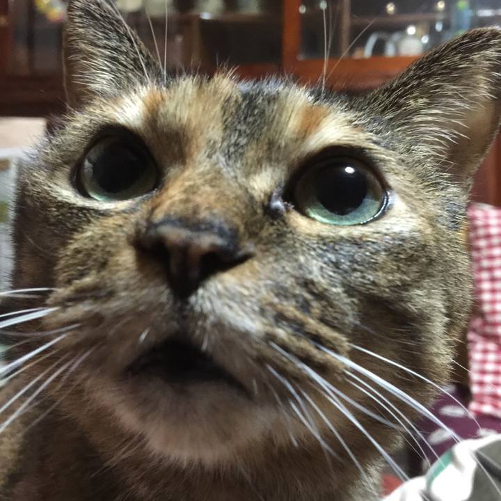 Ad1a4eae 8fb7 4cc4 b2c0 79fe6413dc61