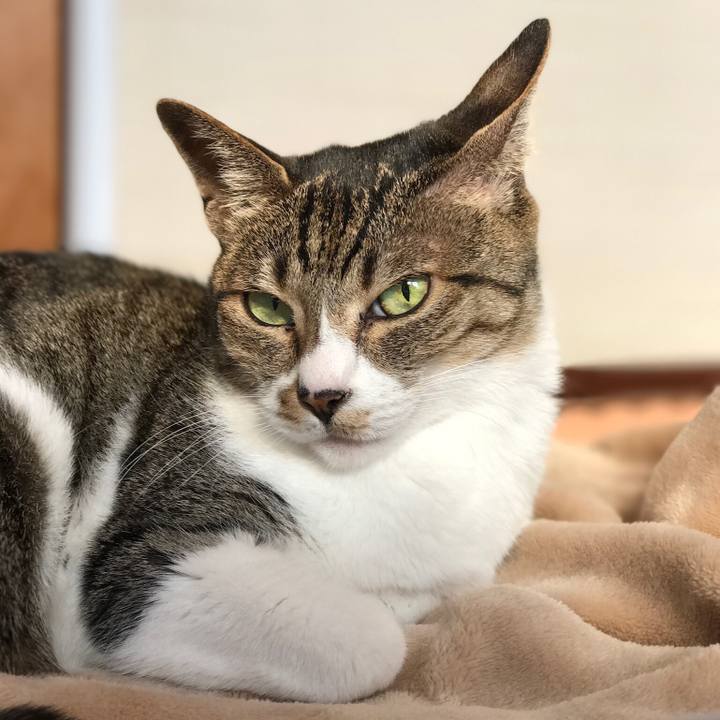 Ad1a6f82 a277 4c7b b6ad c44d74f731d7