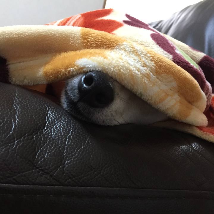 Ad1cfecc 3105 4030 9a02 6bd24beab2b8