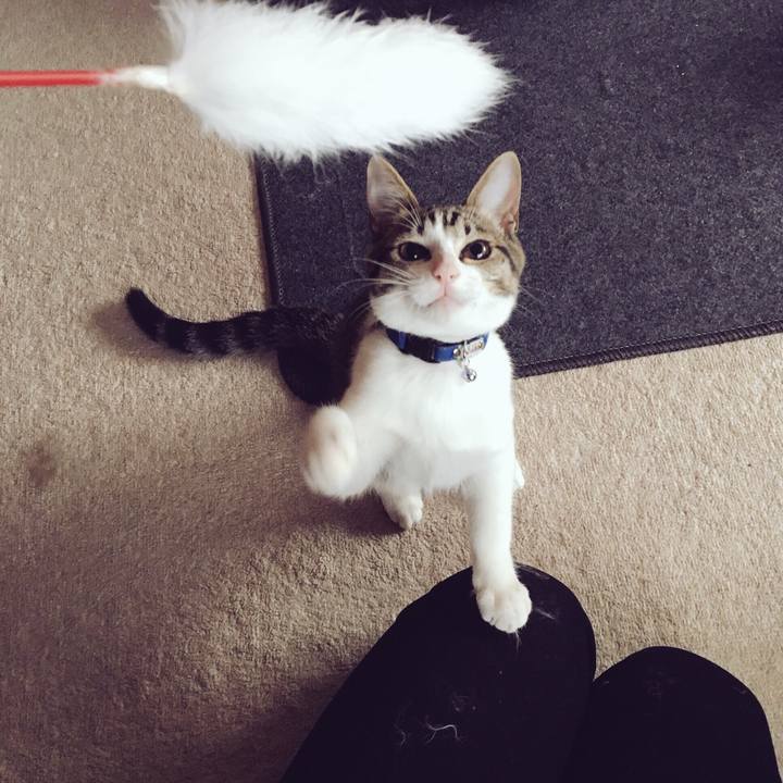 Ad1d5d63 f290 437d 9a3f 394741a3d849