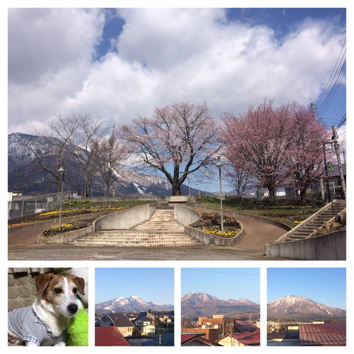 Ad1e9cfc 1822 477c 989b 0f79d3534cea