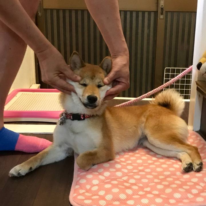 Ad1f23d7 5dcd 41b3 9774 e814bf361f6c