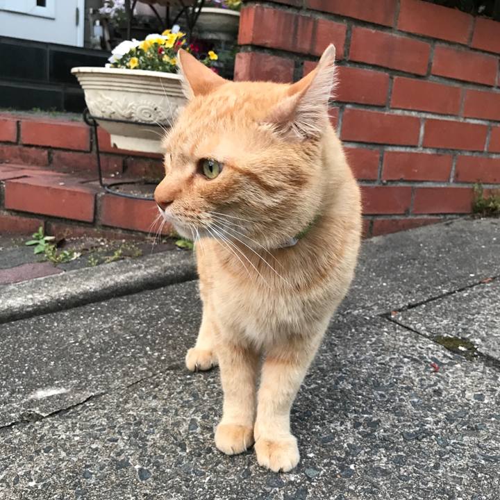 Ad205f00 a7f3 4726 a6db adece6837974