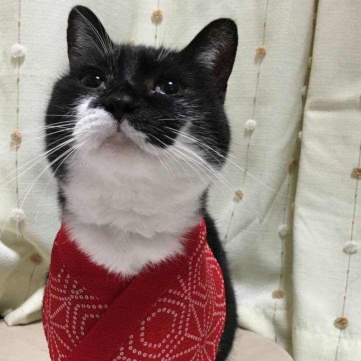 Ad20a911 3bb0 48a6 be87 761a854701d5