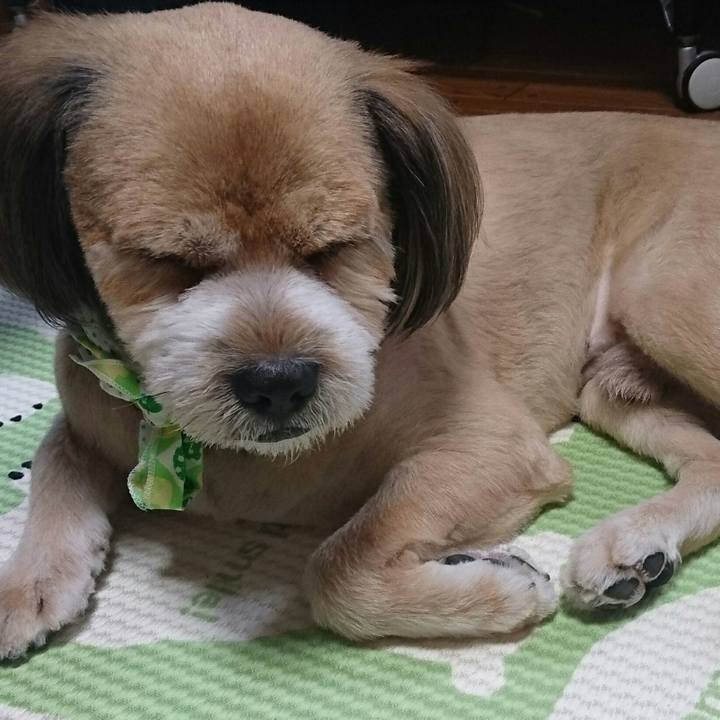 Ad21476c 9e2c 499f ba46 2e90ca897f91