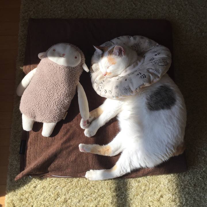 Ad2168a8 b7f1 4a8f 92ec 0522ab60f9e1