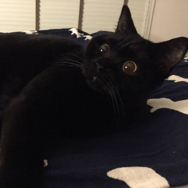 Ad219264 cfec 4c38 aea7 2104f3c3e2fd