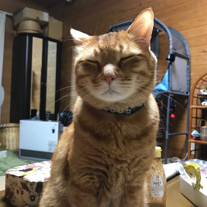 Ad22322a 7837 4e3a 8029 da974015b00a