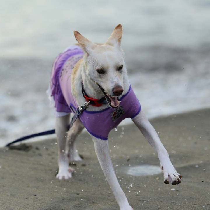 Ad22c4e8 4e7c 41f9 95b1 368b1b76b9e8