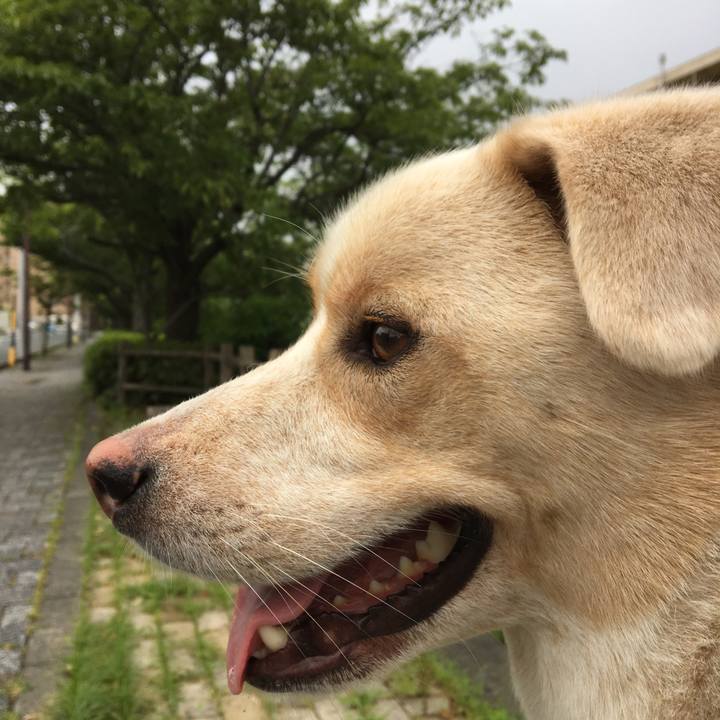 Ad22c9ca 01f9 4866 b189 ab0999a1d740