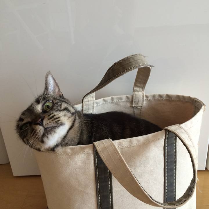 Ad22fcf4 0d58 41d5 a1be bb8f35510ab7