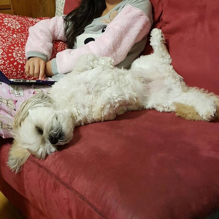 Ad2304f6 0e3d 49bd 877f ee041a2b8d9b