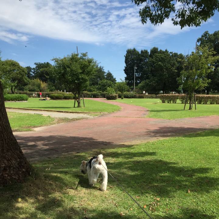 Ad23ad30 31d3 4ba6 8c0e 9b865014a8f7