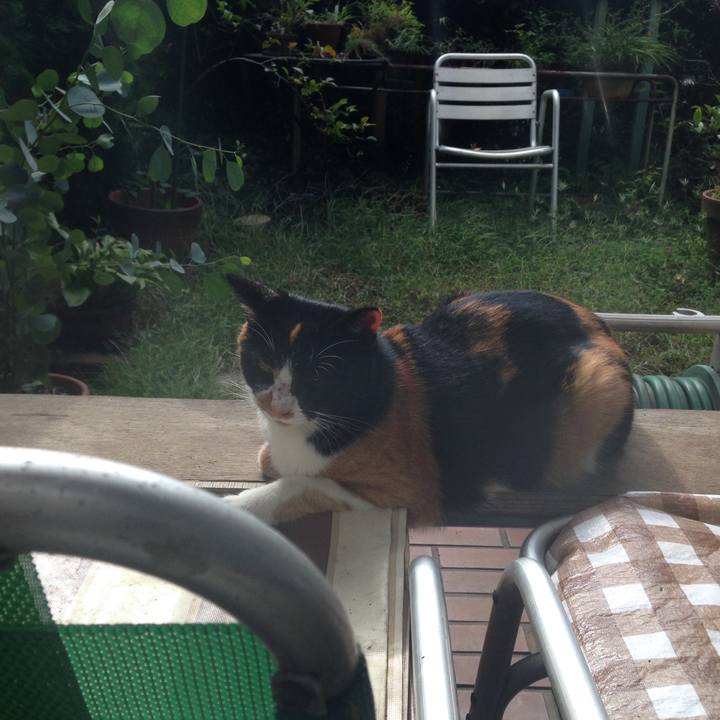 Ad2429c7 6944 4390 b3c4 2dac0731c3bb