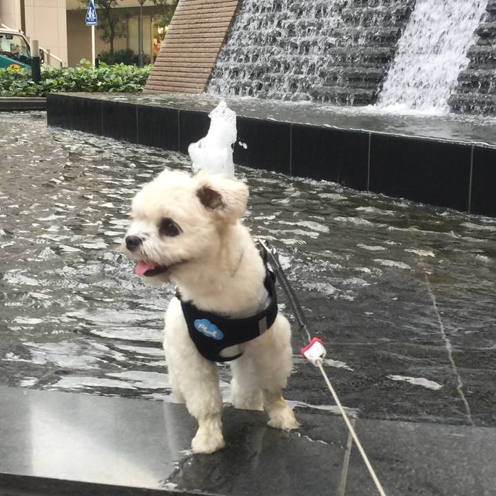 Ad248262 30a7 4382 8c14 6dad0924cc02