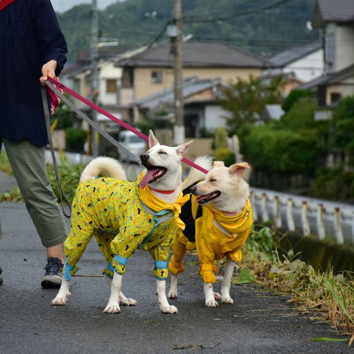 Ad248754 d337 44f3 b8e5 3632bbcdcda9