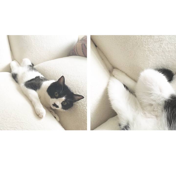 Ad255115 2ce8 4a4c aa39 f1f55df2ce17