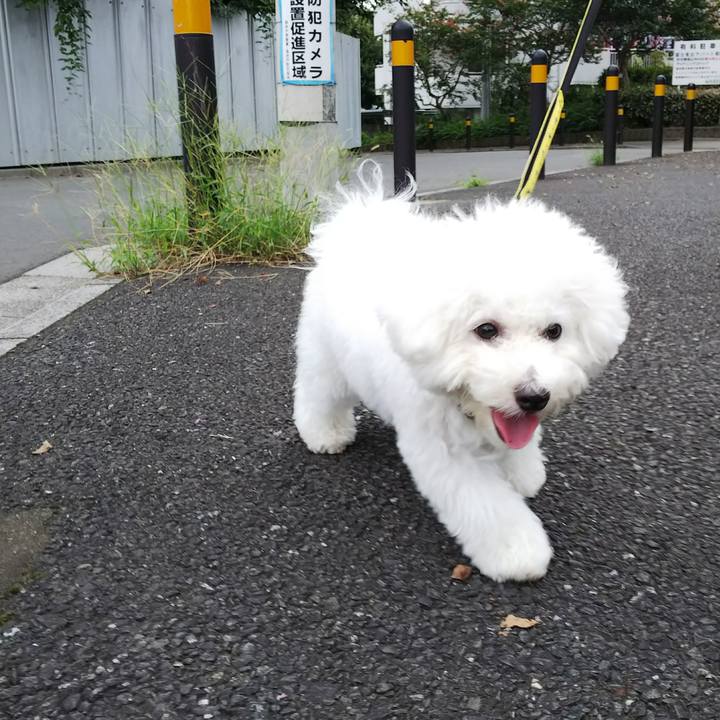 Ad263288 ce7e 4cc4 ac16 aa5c742a22ef