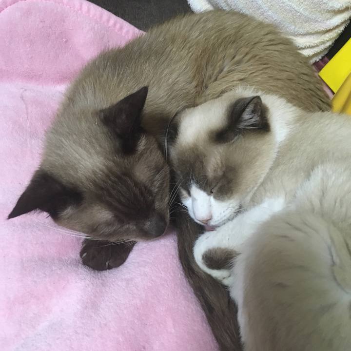 Ad275287 2ce7 4b93 aa3a e0fb81c4addb