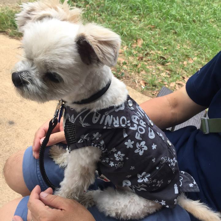 Ad279224 de4a 4a1b 9c76 f71a4fcaf17c