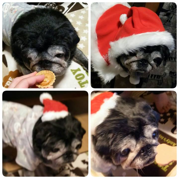 Ad283ad9 2cec 4ab6 8fd6 e57bc7e716fb