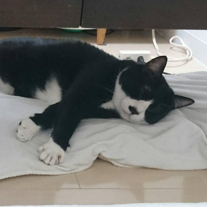 Ad28d50c fa15 402c 8a6e e04418d23180