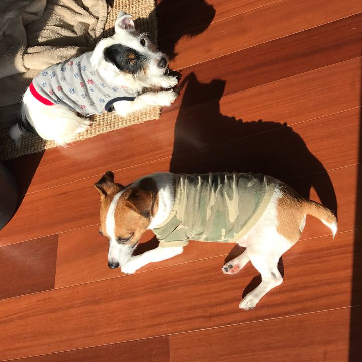 Ad28e3b4 2b06 4a72 b99e 1256ff5116a2