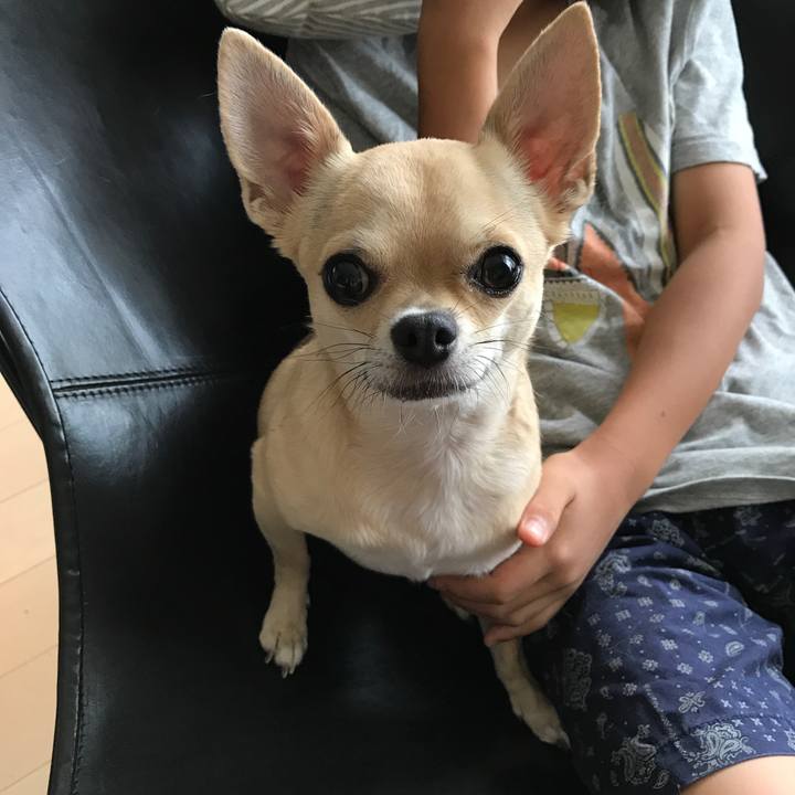 Ad2a31fb 6831 45bf abd6 55c6e178762b