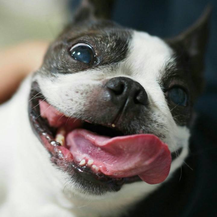 Ad2a5d3d cd7d 4207 b18e 83d532975cf6