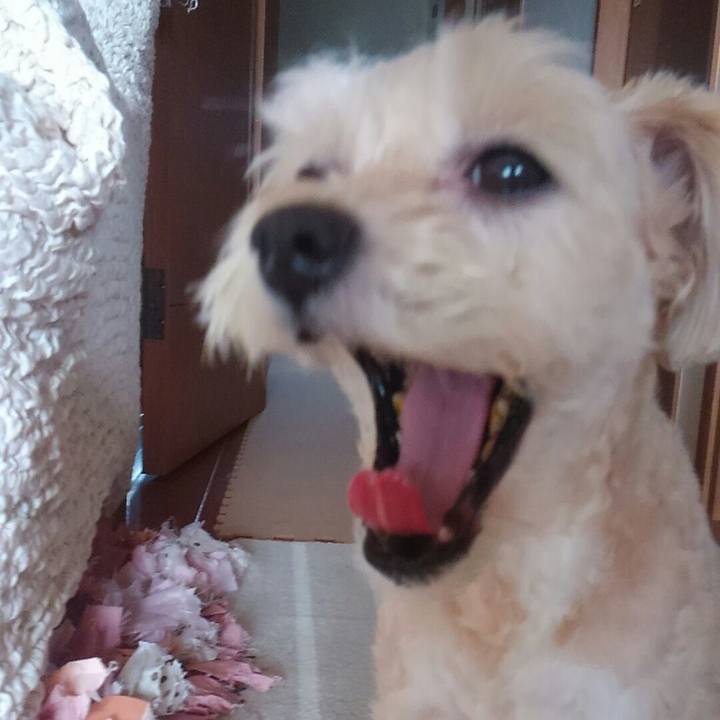 Ad2ac344 219c 47bc a797 e088f5fe9f61