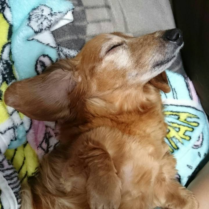 Ad2b68d1 7d41 4bdf 9d1c 5dd9780a0f19