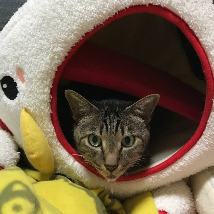 Ad2b7edd f9dc 490b aa20 2c0bb6d7fca4