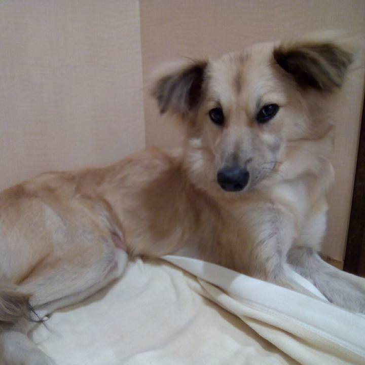 Ad2c0cef 5e08 4d8d a71b 05cd2dc8afb3