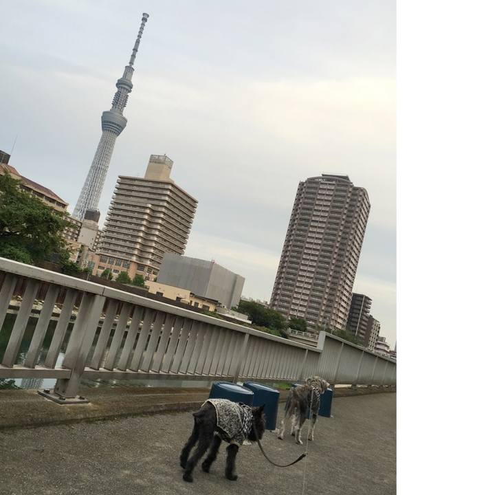 Ad2c0cff 7714 4b3e 82fc aa59a78df6f3