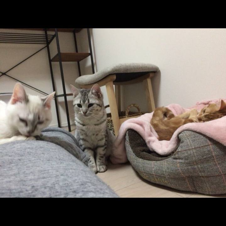 Ad2d381d 77d8 4ac3 b48a ecaf98a8aca0