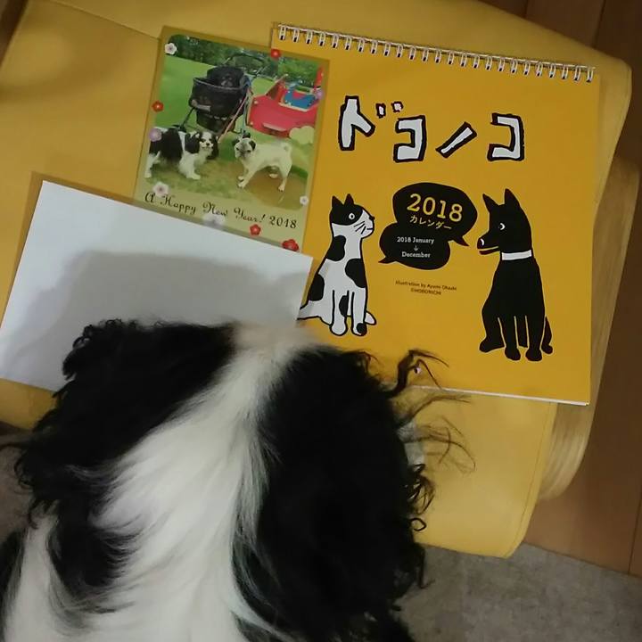 Ad2d4ca5 bc45 408f b784 bb6b781bdbe5