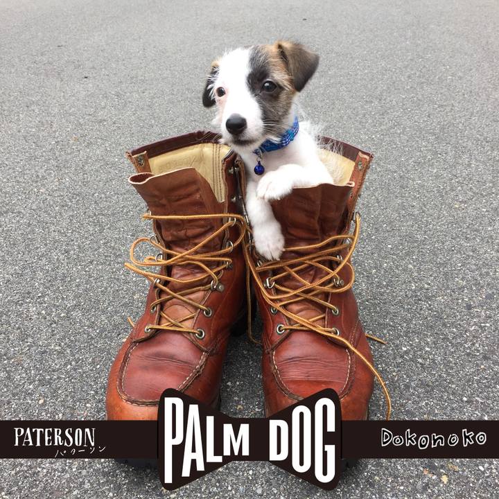 Ad2e2351 4860 480b 9b45 8dd75ebeacd8