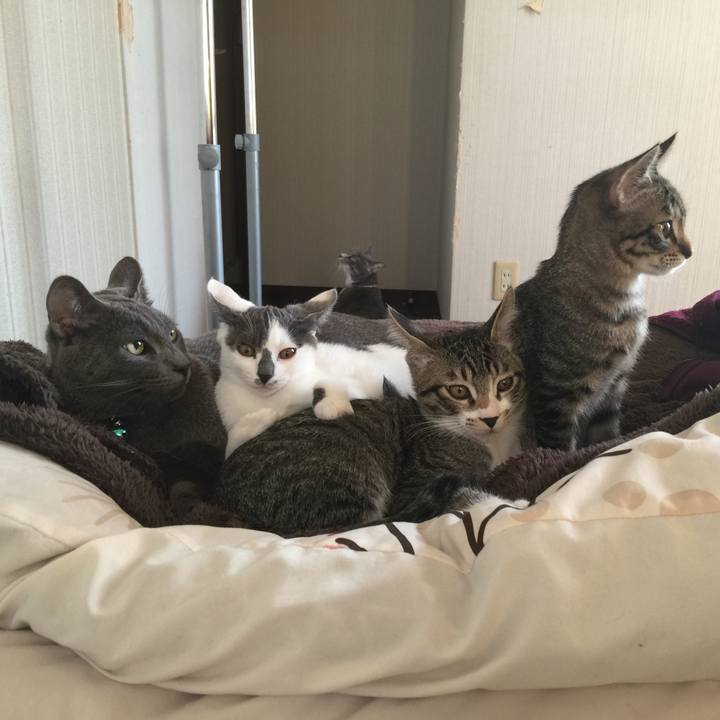 Ad2e2df6 6608 4f4a b115 7bed2982a013