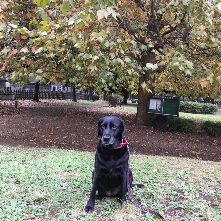 Ad2e2f9b 2e4e 42b9 bb27 5aaf9691673b