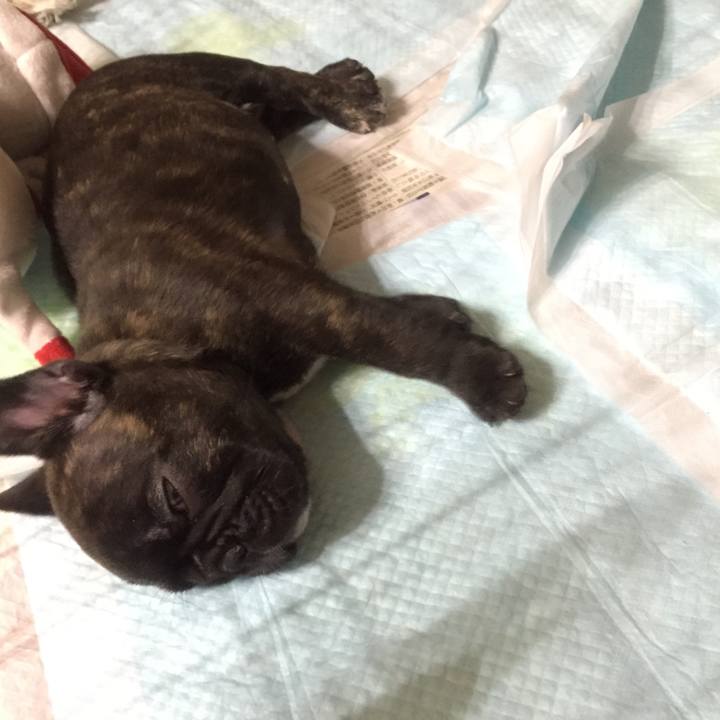 Ad2ec842 e742 4c11 9372 123873799dac