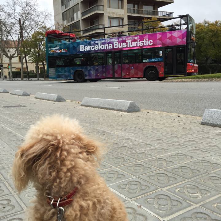 Ad2ee1a2 eb6b 4870 a257 1e69e93c833b