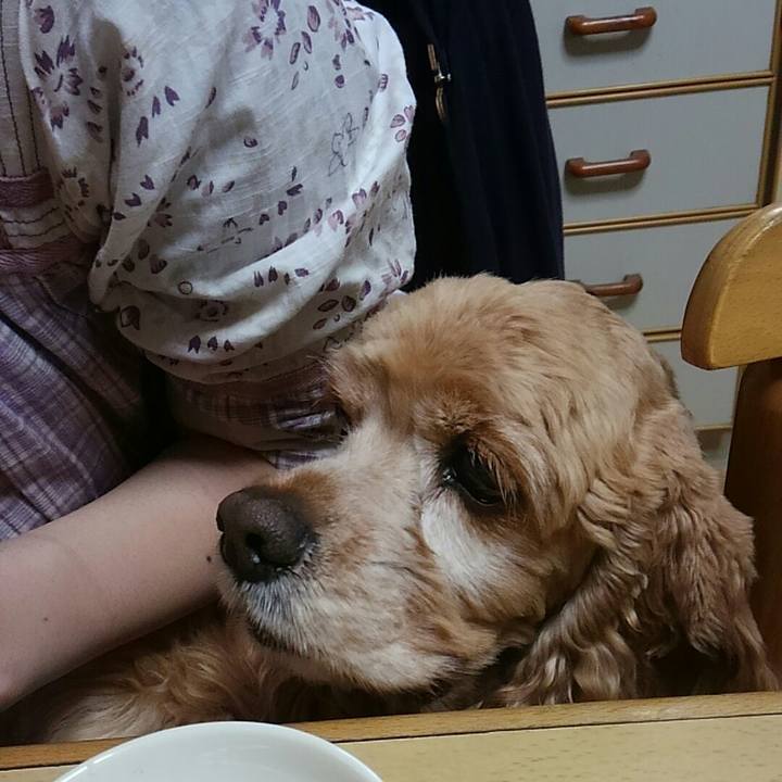 Ad30b4b2 1213 4b6d b8f1 bb20bc471514