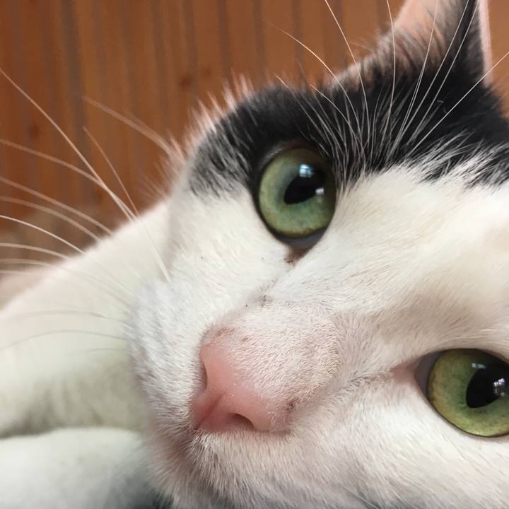 Ad31f37f d31c 4418 a282 3ed5dad58fff