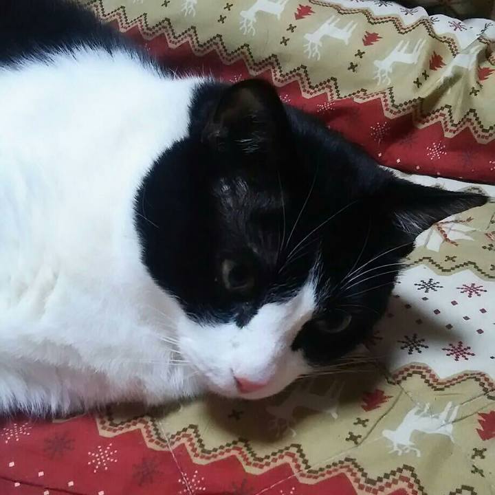 Ad342ff8 a289 4c91 a9e0 9faba3354d4c