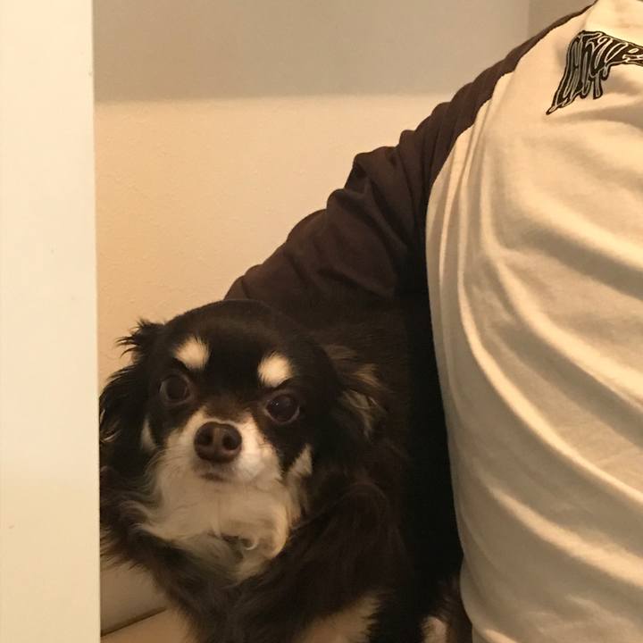 Ad38ba6c a894 42fd b0ec a9363ef31c05