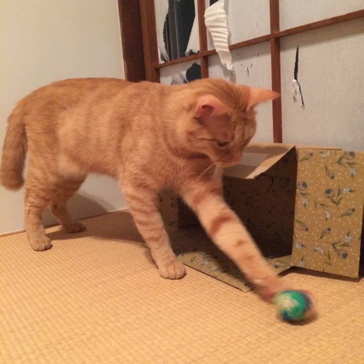 Ad3a2c78 cf49 49a5 a4da e7b0e10fa62b