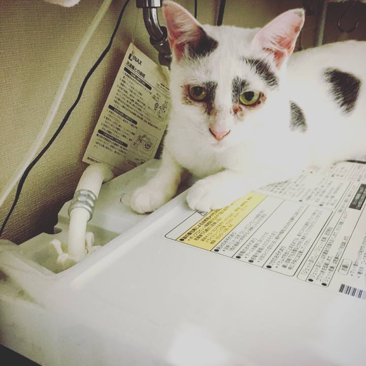 Ad3ad669 c364 46be 880e 16795c64b240