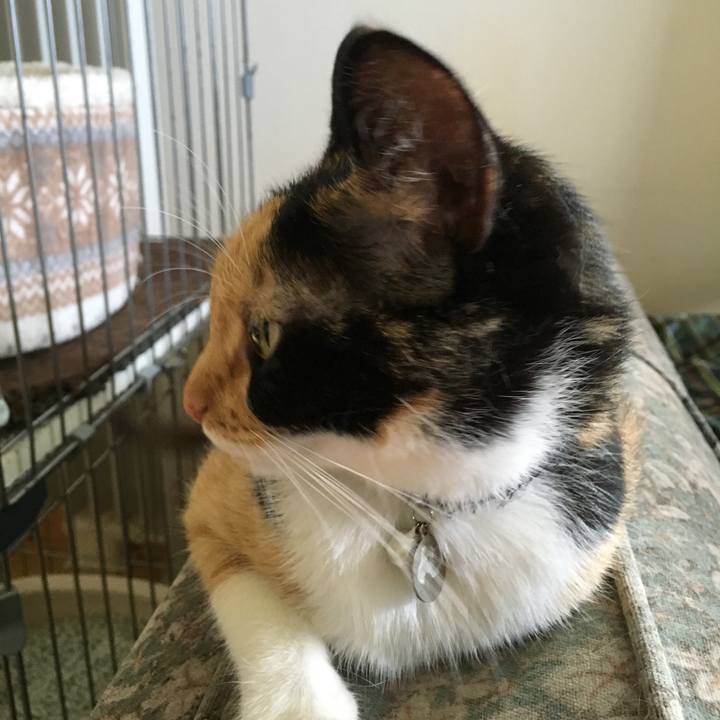 Ad3b09d3 2562 44c1 aeca 83dbb26fb62d