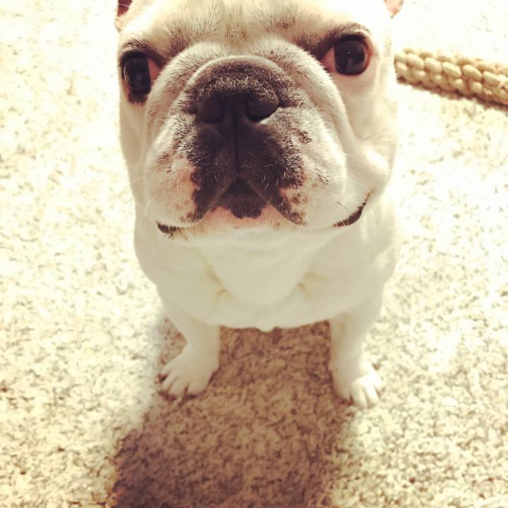 Ad3b82d4 1df0 482c 8b75 1d1846ef26c7