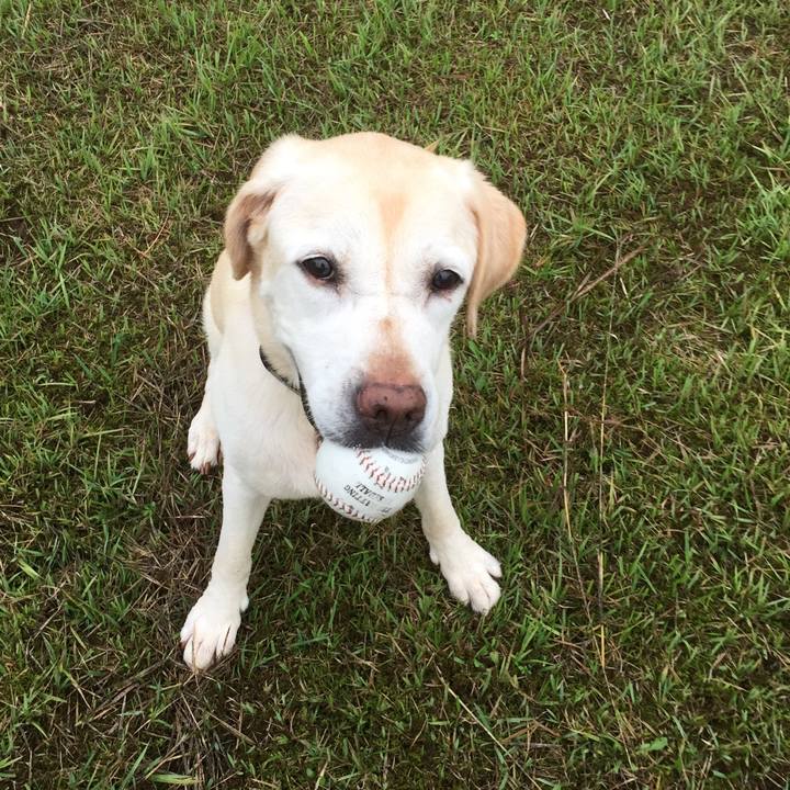 Ad3b9bb3 432c 4ace 9c98 e8a0f80c3686